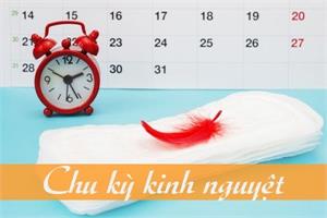 Chu kì kinh nguyệt là gì?